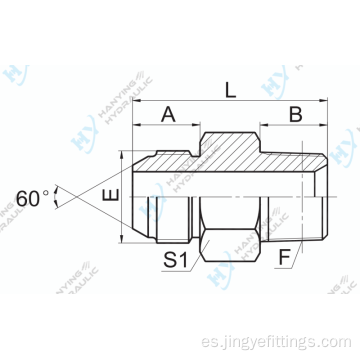 Jis métrica macho 60 cono/npt macho